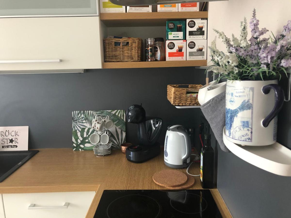 Apartman Suzanne บันสกาบิสตรีตซา ภายนอก รูปภาพ
